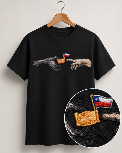 Polera Bordada Fiestas Patrias Chile Empanada 18
